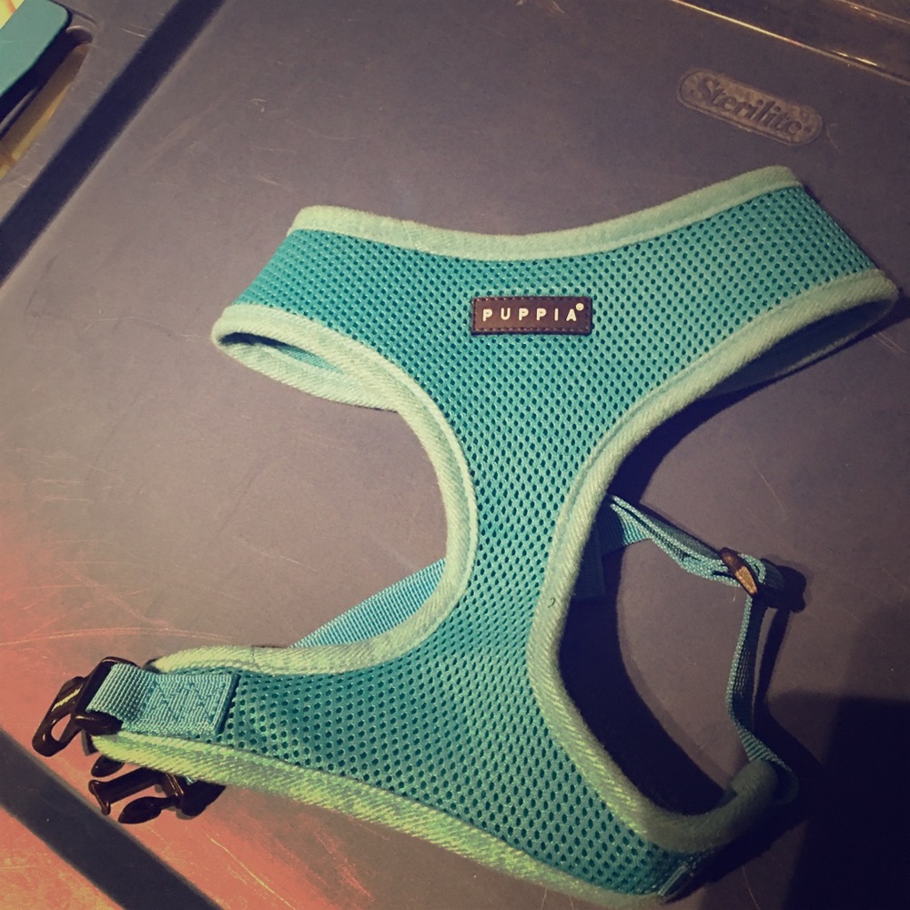 L Dog Harness